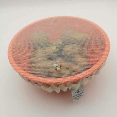 le filet anti moucherons